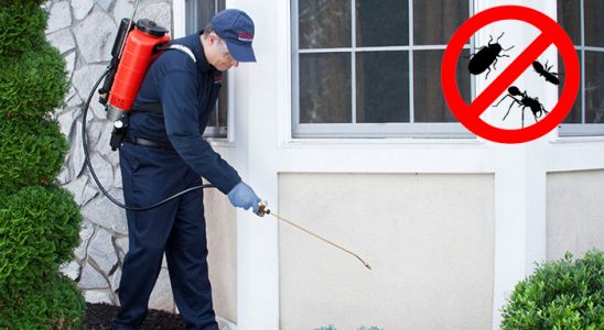 Buca Koop Karınca İlaçlama böcek ilaçlama ve haşere kontrolü — ilaclama-tr.com